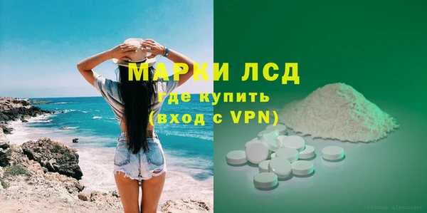 хмурый Абаза