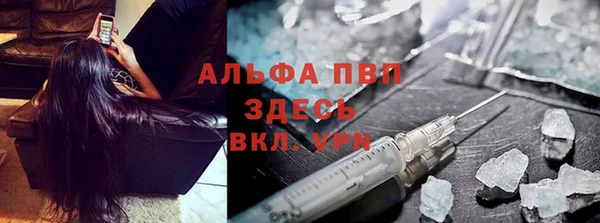 хмурый Абаза