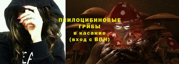 хмурый Абаза