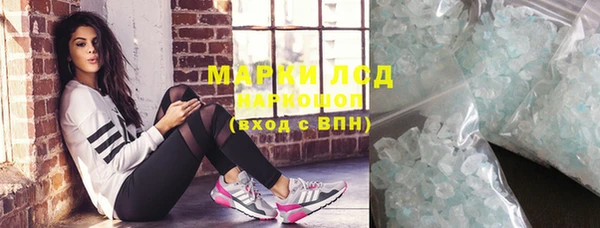 гидра Болохово