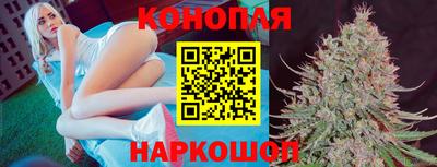 Альфа ПВП Кимры