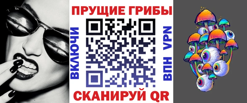 Псилоцибиновые грибы GOLDEN TEACHER  даркнет сайт  Кимовск 