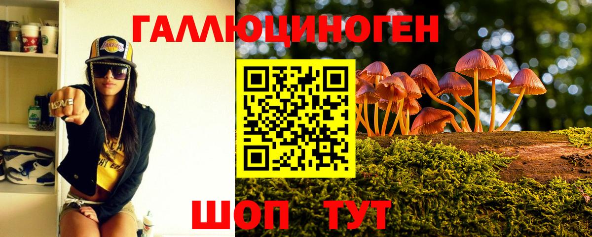Псилоцибиновые грибы GOLDEN TEACHER  Псилоцибиновые грибы MAGIC MUSHROOMS  Вход с VPN  Кимовск 